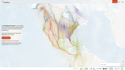 Le Bird Migration Explorer développé par Audubon rend visible les trajectoires de migration de centaines d'espèces d'oiseaux sur un planisphère. Une mine d'informations et de données.
