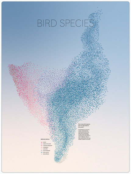 Murmuration - © Andrea Garrec