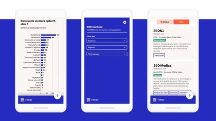 mapping des startups de l'ia par france digitale en dataviz et en no code